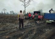 Ratusan Hektar Lahan TN Way Kambas Terbakar Selama Dua Hari