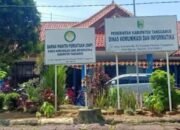 Terindikasi Manipulasi Data, Dana Publikasi Miliyaran Rupiah di Dinas Kominfo Tanggamus Jadi Bancakan