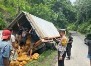 Laka Beruntun di Jalur Wisata Pesawaran Gegara Truk Box Gagal Menanjak