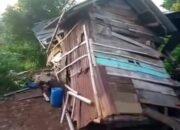 Kawanan Gajah Rusak 7 Rumah Warga di Kabupaten Tanggamus