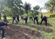 Dukung Ketahanan Pangan, Brimob Batalyon C Pelopor Tanami Lahan Kosong Dengan Bibit Jagung Manis