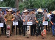 Penanaman Jagung Serentak 1 Juta Hektar, Polda Lampung Dukung Ketahanan Pangan Nasional