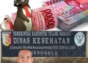 Dinas Kesehatan Tulang Bawang Diduga Terindikasi KKN, Ferli Yuledi PJ Bupati Membungkam!