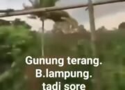 Viral Video Angin Puting Beliung Melanda Bandar Lampung, Walikota: Itu Hoax