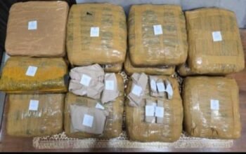 Polisi Ungkap Peredaran Ganja 13,8 Kg di Lampung Selatan, Satu Pengedar Diamankan