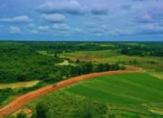 TNWK Perkuat Strategi Terpadu Tekan Konflik Gajah dan Manusia