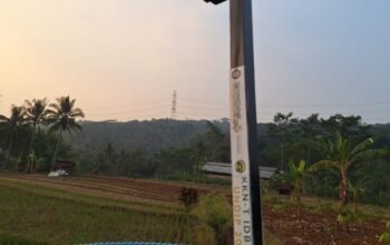 Dukung Pertanian Berkelanjutan, Mahasiswa KKN-T UNDIP Hadirkan Perangkap Hama Jagung Berbasis Energi Surya di Desa Kluwih