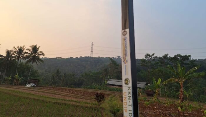 Dukung Pertanian Berkelanjutan, Mahasiswa KKN-T UNDIP Hadirkan Perangkap Hama Jagung Berbasis Energi Surya di Desa Kluwih