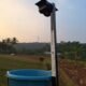 Dukung Pertanian Berkelanjutan, Mahasiswa KKN-T UNDIP Hadirkan Perangkap Hama Jagung Berbasis Energi Surya di Desa Kluwih