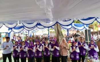 Ketua Umum TP Posyandu Dorong Penguatan Layanan 6 Bidang SPM, Penuhi Kebutuhan Dasar Masyarakat