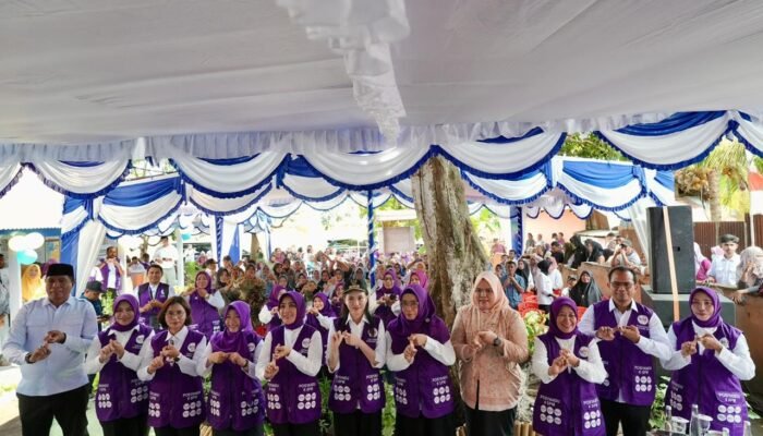 Ketua Umum TP Posyandu Dorong Penguatan Layanan 6 Bidang SPM, Penuhi Kebutuhan Dasar Masyarakat