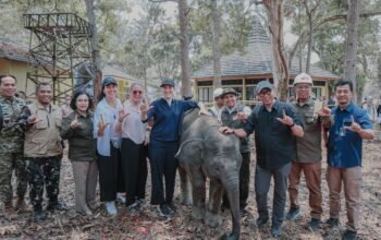 Dampingi Menhut di Way Kambas, Gubernur Lampung Dorong Keseimbangan Konservasi Gajah dan Ekonomi Warga