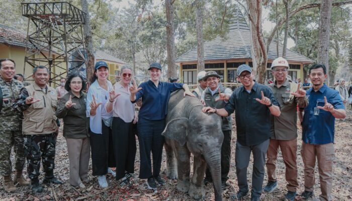 Dampingi Menhut di Way Kambas, Gubernur Lampung Dorong Keseimbangan Konservasi Gajah dan Ekonomi Warga