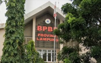 Proyek Rp2,9 Miliar Diduga Cacat SBU, BPBD Lampung Didesak Hentikan Pekerjaan Kontraktor