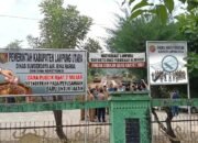 Dinas SDABMBK Lampura Taruhkan Uang Rakyat Rp41,2 Miliar pada Perusahaan Baru, Masyarakat Diminta Kritis Awasi Pengerjaan Jalan