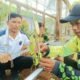 Bekali Keterampilan Ekonomis, Warga Binaan Lapas Bandar Lampung Lakukan Penyerbukan Vanili