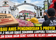 Bau Amis Pengondisian 5 Proyek Rp41,2 Miliar Dinas SDABMBK Lampura Terbongkar, LSM Gemak Akan Seret Kasus ke Kejati Lampung!